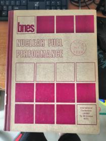 NUCLEAR FUEL PERFORMANCE