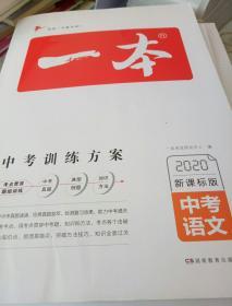 2020中考语文新课标版 一本中考训练方案 专注训练16年