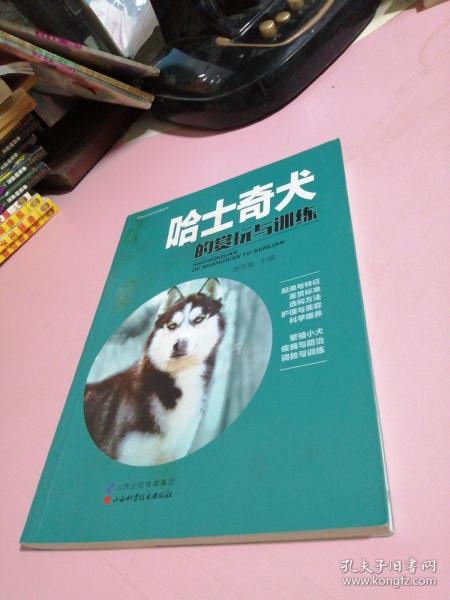 哈士奇犬的赏玩与训练