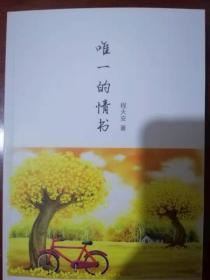 唯一的情书（包含散文诗歌，有古体诗近体诗现代诗打油诗藏头诗藏胸诗藏腹诗藏尾诗回文诗民谣歌词说唱RAP山歌竹枝词等体裁丰富多彩）