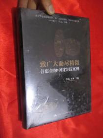 致广大而尽精微：普惠金融中国实践案例