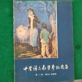 中学语文教学参考图集(绘画版)