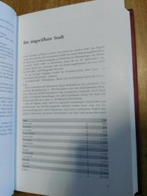 德文原版书：Die Geschichte der Stadt: Von der Antike bis ins 20. Jahrhundert 城市历史：从古代到20世纪（大32开精装）