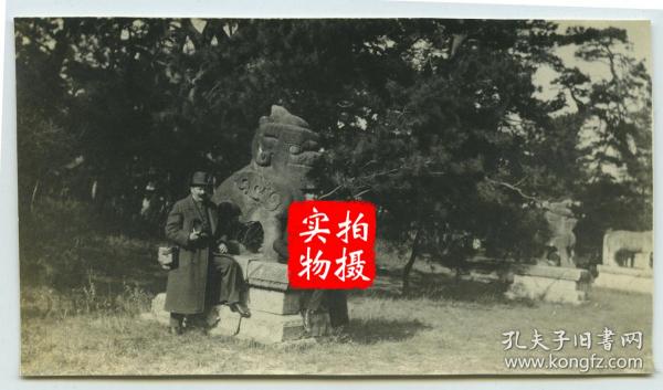 1919年11月东北满洲辽宁沈阳奉天北陵隆恩门前神路路边的石狮雕像，旁边站立者为当时来沈阳投资建厂的法国人。10.2×5.7厘米， 泛银。