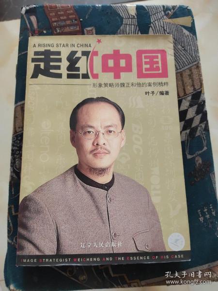 走红中国:形象策略师魏正和他的案例精粹