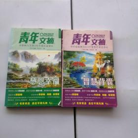 青年文摘杂志启迪思维的214个智慧哲学故事，影响人生的164个成长故事，共两本，以实拍图为准