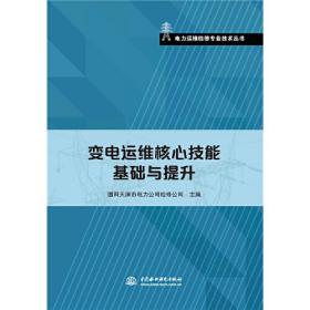 电力运维检修专业技术丛书：变电运维核心技能基础与提升