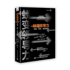 蜕变领导力：战略、创新、情境管理