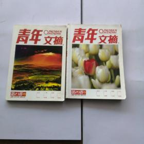 青年文摘合订本杂志第23卷，第29卷共两本，1.1公斤