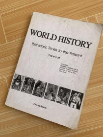 world history prehistoric times to the present 世界历史从史前到现在