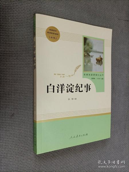 白洋淀纪事 名著阅读课程化丛书（统编语文教材配套阅读）七年级上