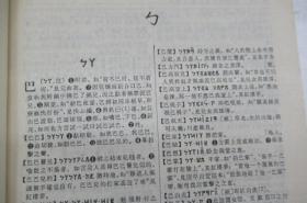 汉语词典:简本