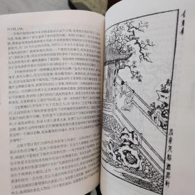 文学鉴赏辞典·中国古代小说名著鉴赏系列：金瓶梅鉴赏辞典
