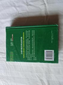 汉语印度尼西亚语词典【全新未拆封】