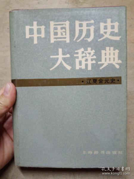 中国历史大辞典  辽夏金元史