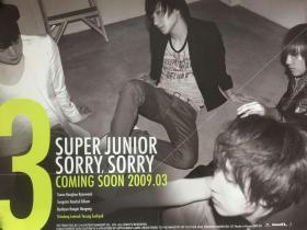 韩国原版 Super Junior 《Sorry, Sorry》 专辑  官方海报