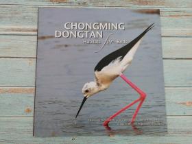 chongming dongtan habitats for birds 崇明东滩鸟类栖息地