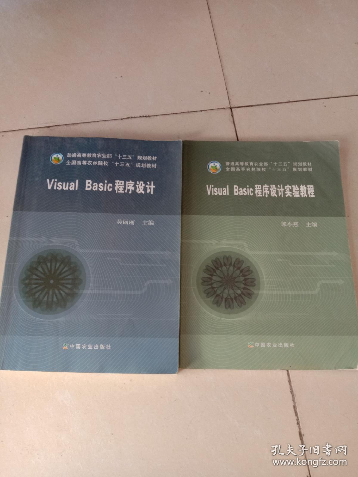 Visual Basic程序设计（吴丽丽）＋实验教程