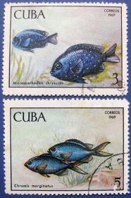 金色小叶齿鲷鱼等共2张--古巴邮票--外国海洋生物邮票甩卖--珍稀动物-海洋生物--实拍--包真