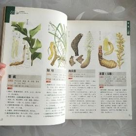 本草纲目（精华本）