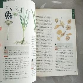 本草纲目（精华本）