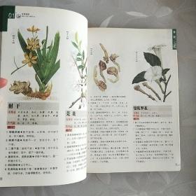 本草纲目（精华本）