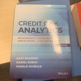 credit risk analytics 正版