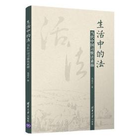 生活中的法：当代中国习惯法素描