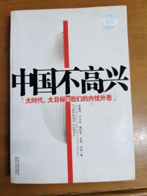 中国不高兴：大时代大目标及我们的内忧外患