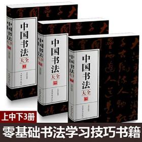 中国书法大全 全3册 从入门到精通学书法颜体石门颂礼器碑 曹全碑张迁碑中国传世书法技法书法大全基础入门书籍