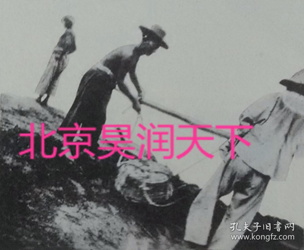 1933年黄河畔受灾情形 7张