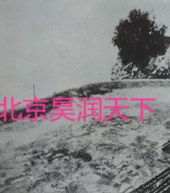 1933年黄河畔受灾情形 7张