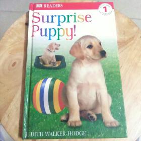 Surprise Puppy（098）
