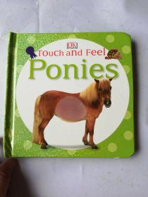 touch and feel ponies