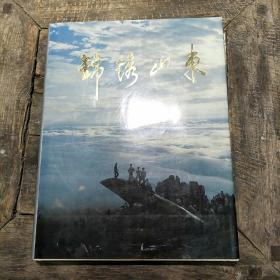 锦绣山东画册