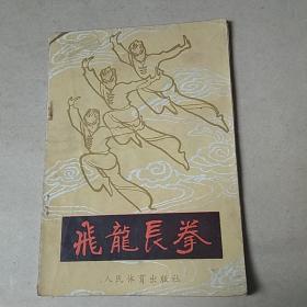 飞龙长拳.