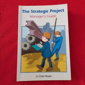 The Strategic  Project  Manager's Guide
