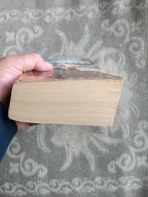 WHEEL TIME 8： PATH OF DAGGERS时间之轮8（二维码扫描上传，正版二手旧书，窄32开本）