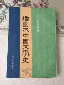插图本中国文学史（繁体竖排）4