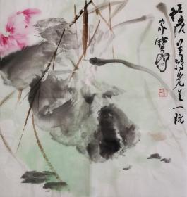 鲁迟老师花鸟作品    南京白云堂   鲁迟花鸟46x46cm