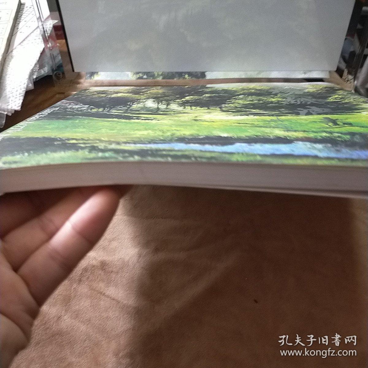 杨飙油画集 作者签赠本 九品无字迹无划线