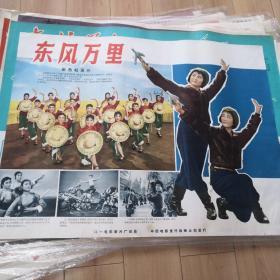 2开60年代 电影海报
东风万里