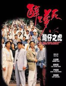 醉生梦死之湾仔之虎 香港经典动作老电影  DVD