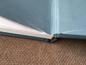 项斯诗注 （精装）