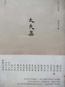 《丈夫集》(沈从文人性小说代表作，《丈夫》《都市一妇人》《篁君日记》众多名篇集结，首次精装本。著名设计师陆智昌担纲设计)(楚尘文化出品)