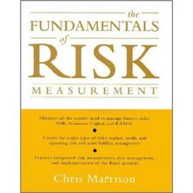 The Fundamentals of Risk Measurement（几乎全新内干净）