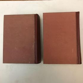 《中华大字典》（缩印本全二册）