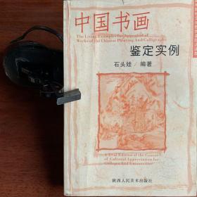 高等院校文化欣赏课目试读本：中国书画鉴定实例