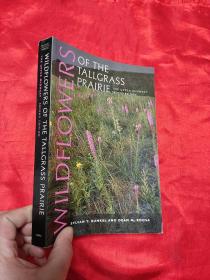 Wildflowers of the Tallgrass Prairie  （小16开）【详见图】
