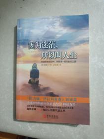 因为迷茫，所以叫人生：在迷茫的泥沼中，你需要一跃而起的力量